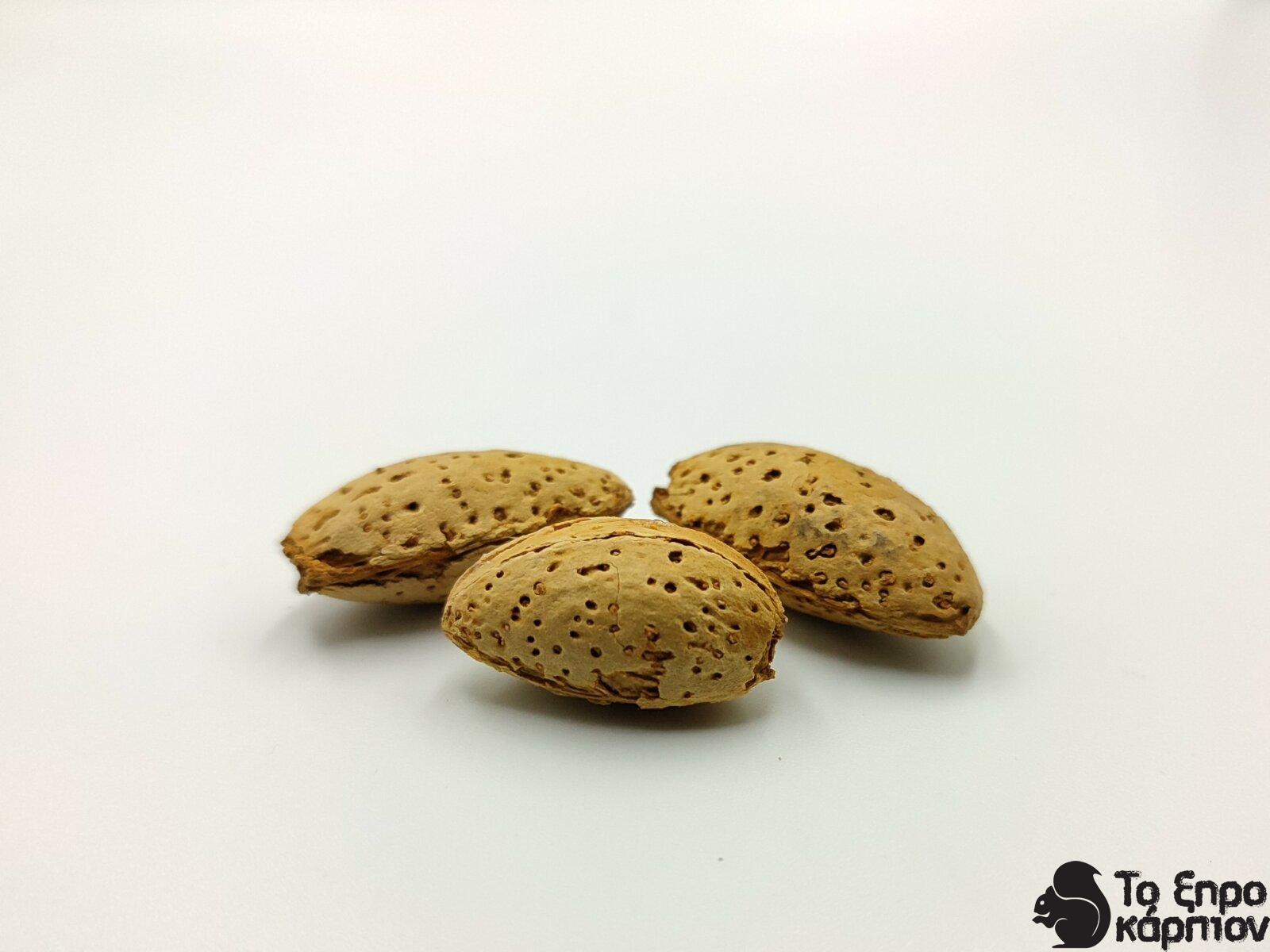 Αμύγδαλο Φλοιού Ελληνικό Ωμό Αμύγδαλο Φλοιού Ελληνικό Ωμό