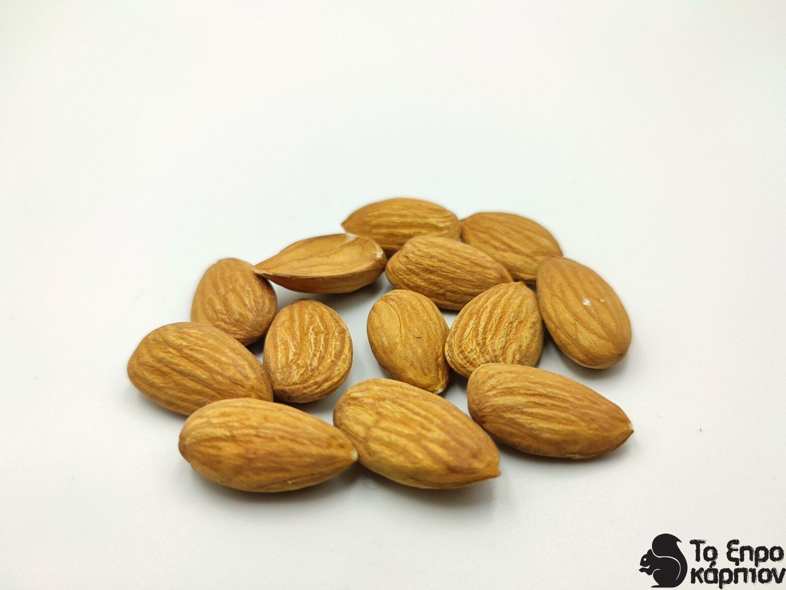 Αμύγδαλο Χοντρό Ψίχα Ωμό Αμερικής 18/20 (Νερού) Αμύγδαλο Χοντρό Ψίχα Ωμό Αμερικής 18/20 (Νερού)