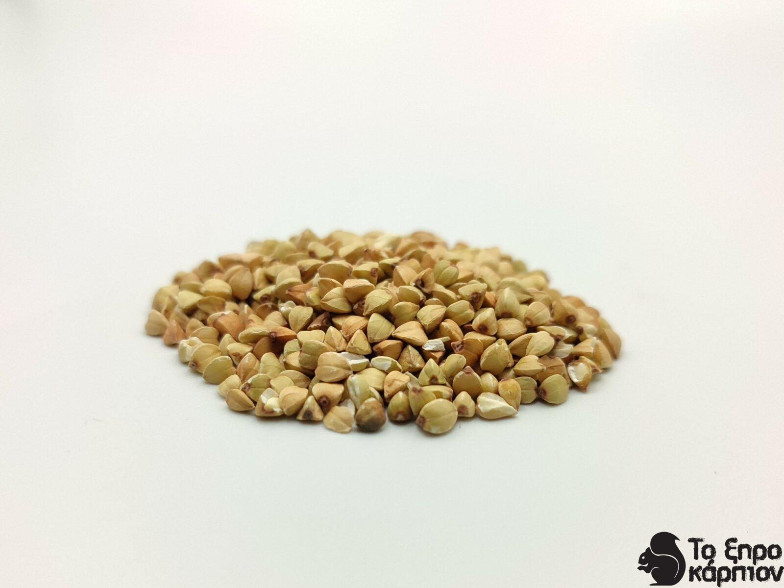 Φαγόπυρο σπόρος Φαγόπυρο σπόρος