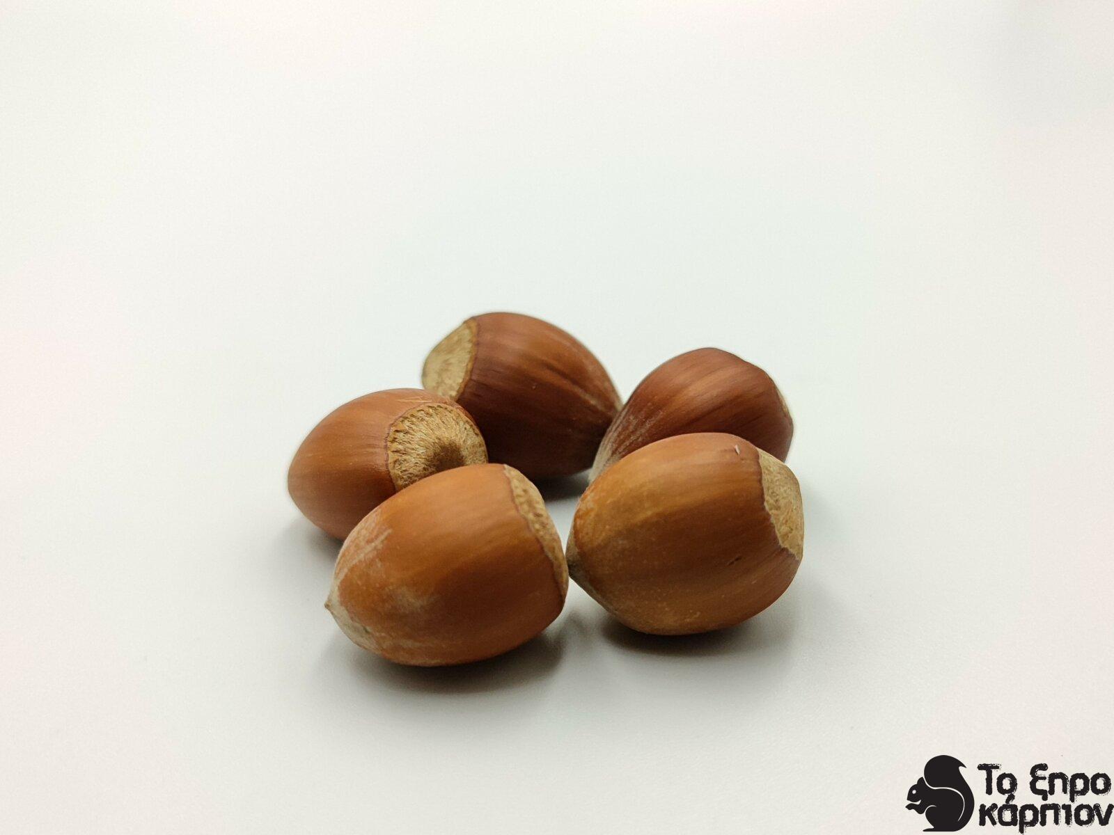 Φουντούκι Φλοιού Ωμό Φουντούκι Φλοιού Ωμό