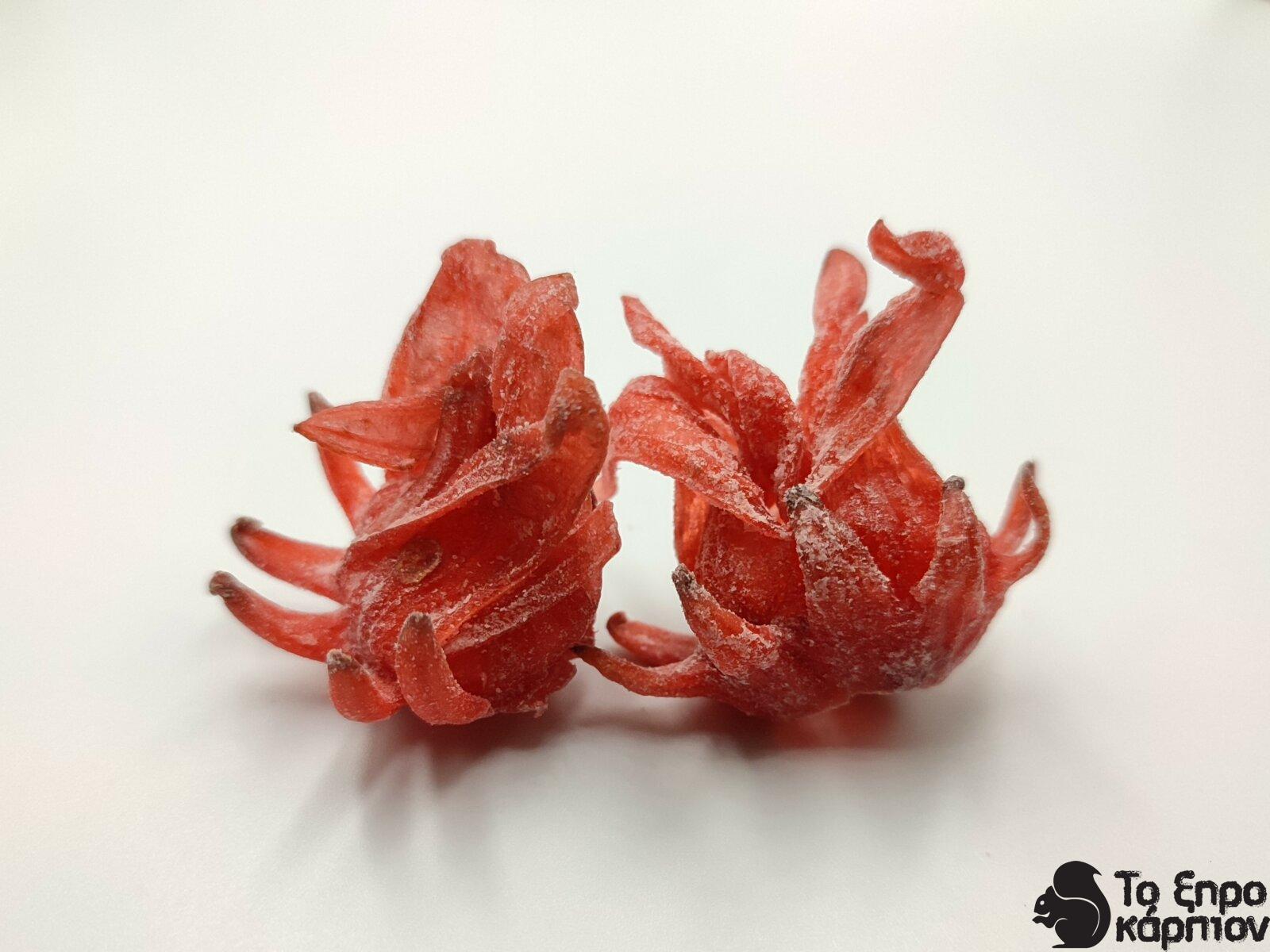 Ιβίσκος Αποξηραμένος Ιβίσκος Αποξηραμένος