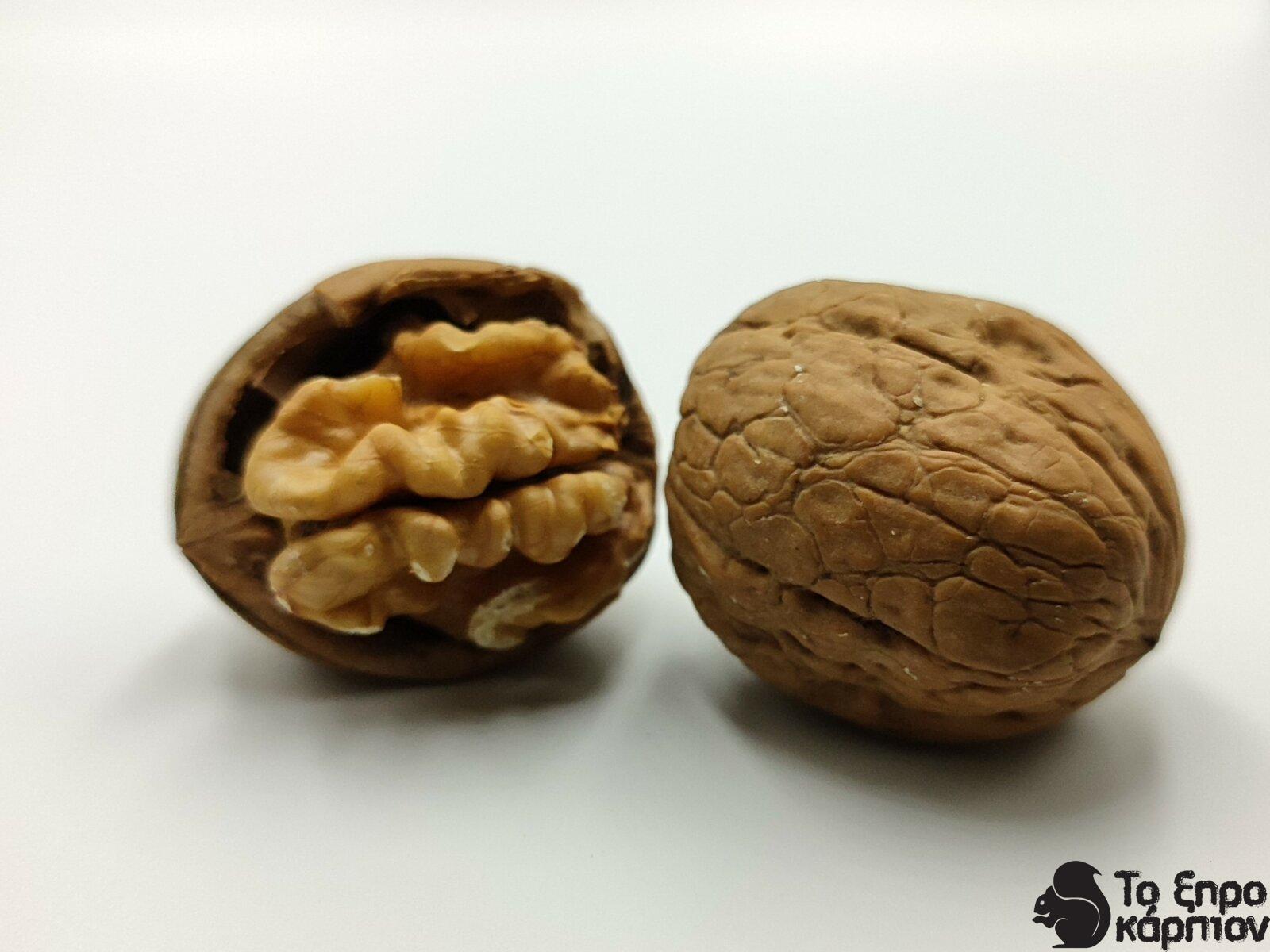 Καρύδια Φλοιού Ελληνικά Καρύδια Φλοιού Ελληνικά
