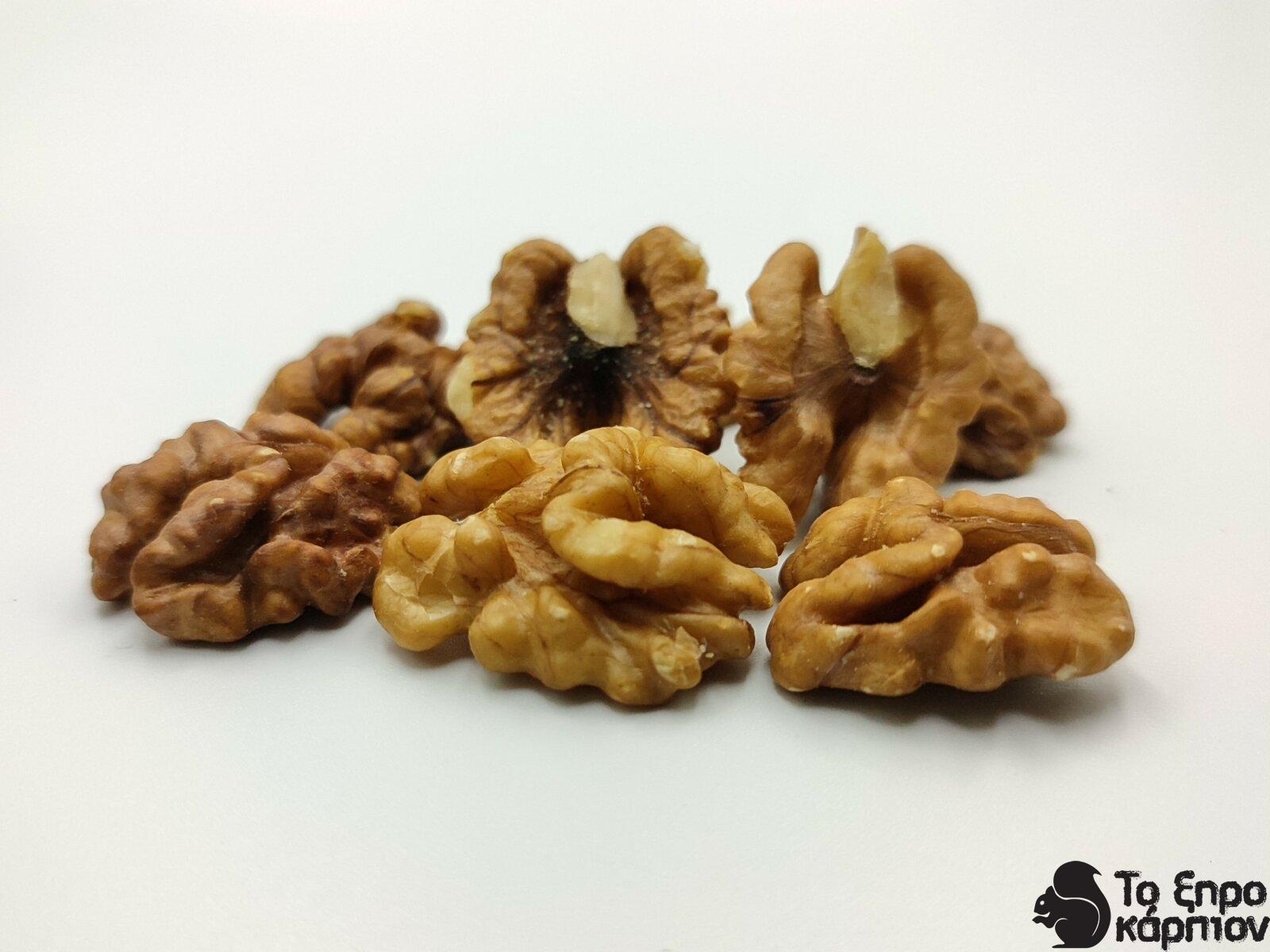 Καρυδόψιχα Πεταλούδα Καρυδόψιχα Πεταλούδα