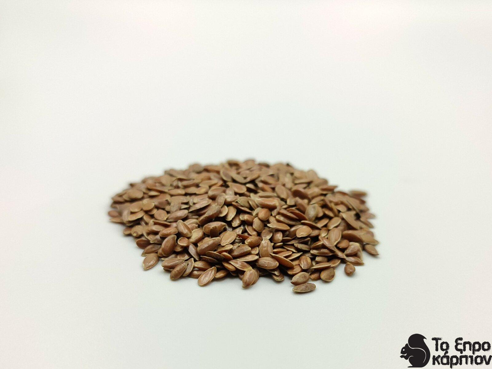 Λιναρόσπορος Λιναρόσπορος