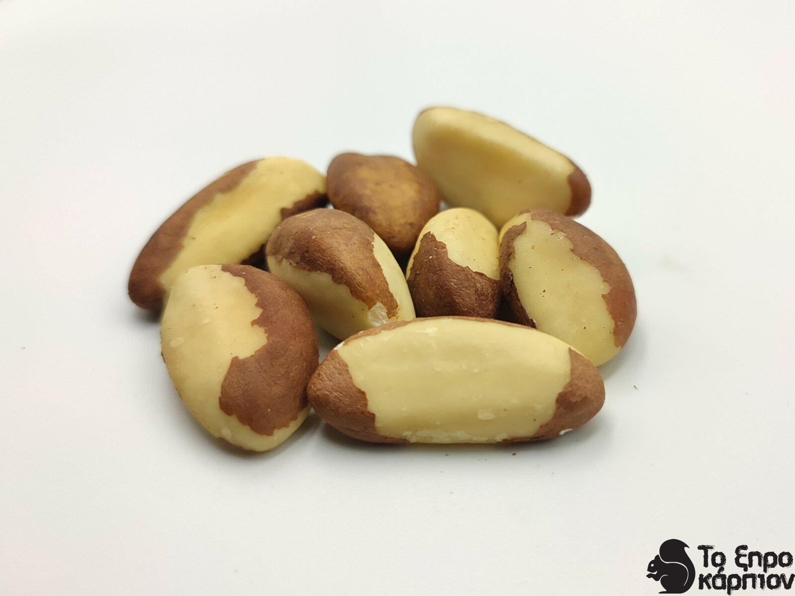 Βραζιλιάνικο φιστίκι Βραζιλιάνικο φιστίκι