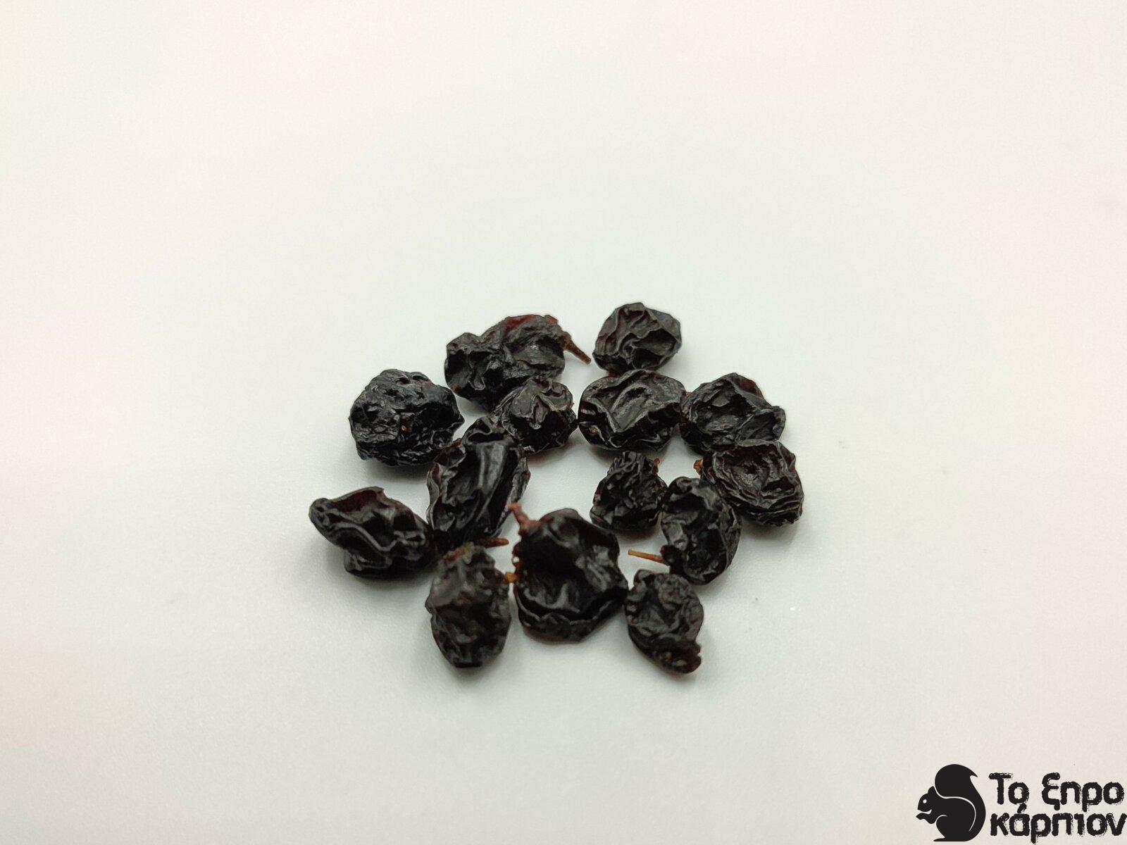 Σταφίδα Κορίνθου Μαύρη (Κορινθιακή) (Currants) Σταφίδα Κορίνθου Μαύρη (Κορινθιακή) (Currants)