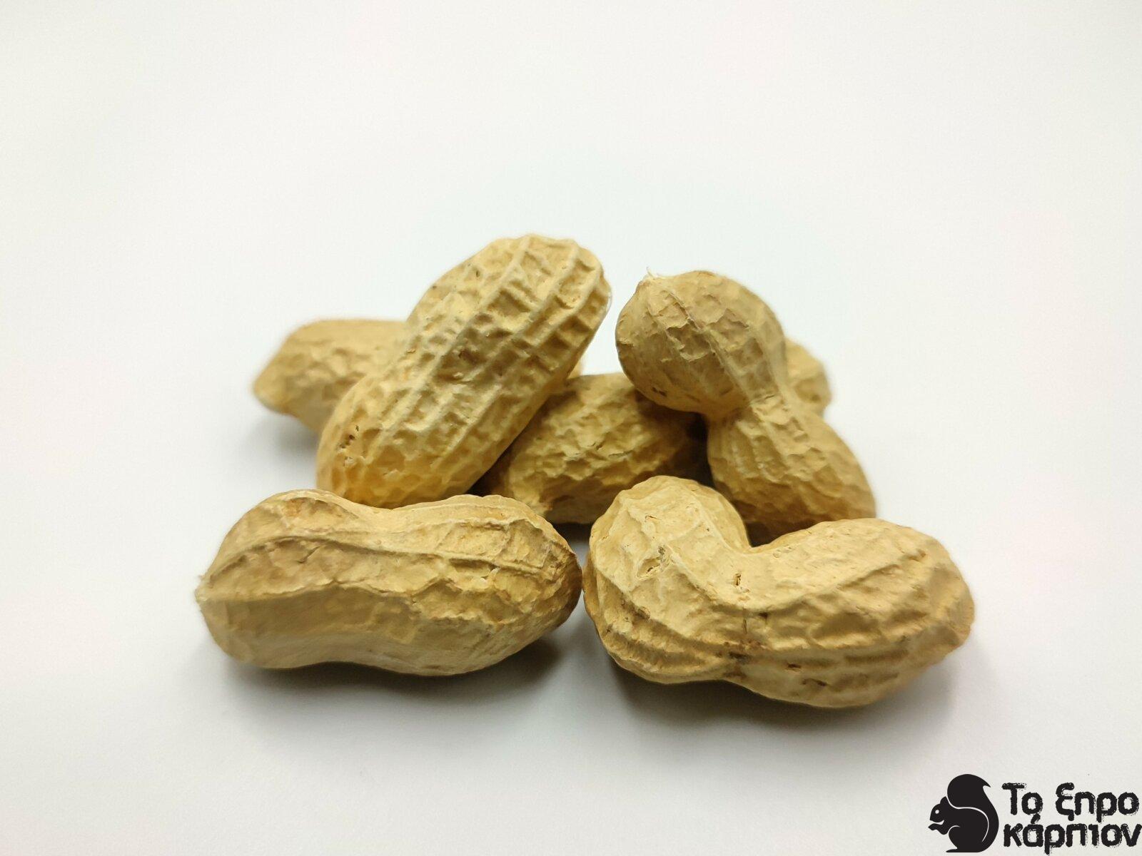 Φιστίκι Φλοιού Ελληνικό Ψημένο Φιστίκι Φλοιού Ελληνικό Ψημένο